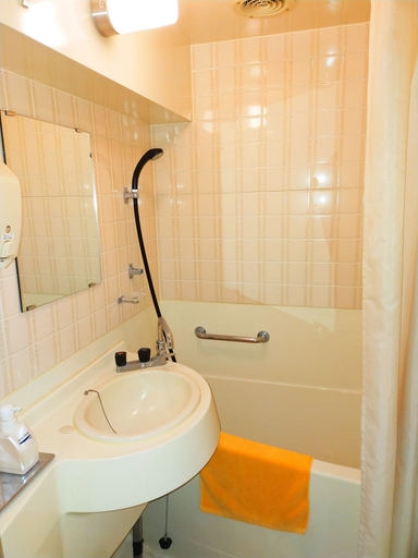 Bathroom 4, Akakura Hotel, Myōkō