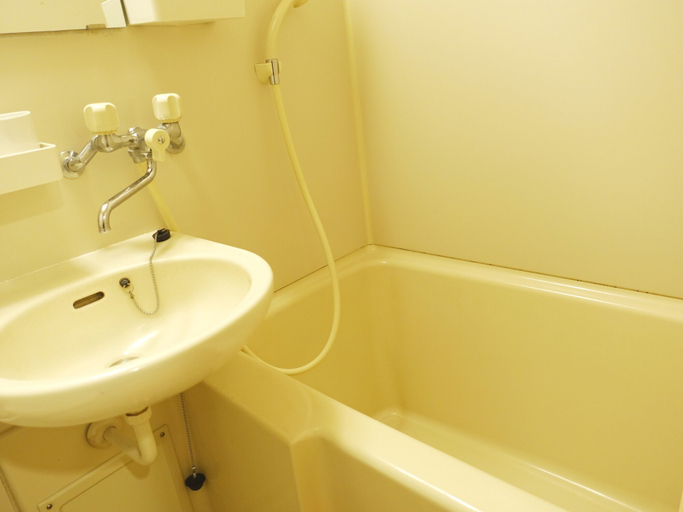 Bathroom 5, Hotel Towadaso, Towada