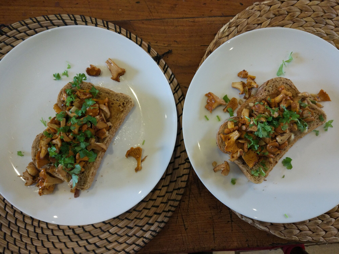 Food & Drinks 5, Bowden House B&B, Scottish Borders