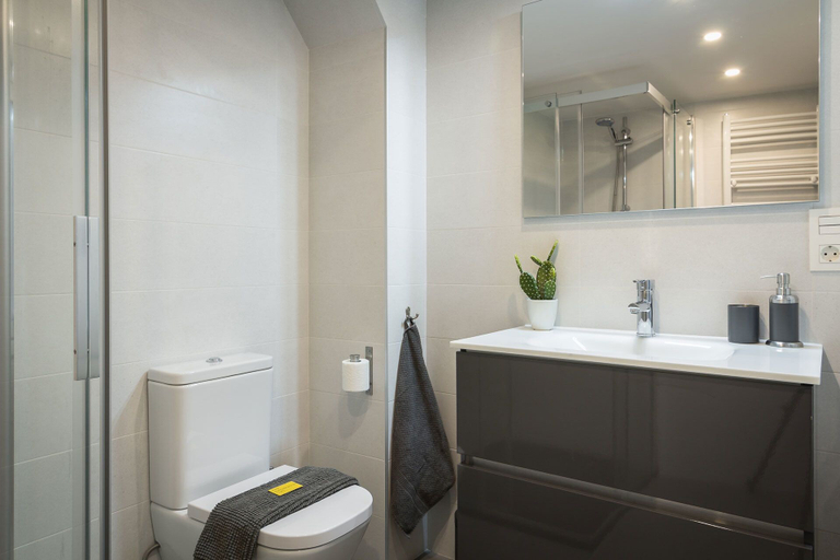 Bathroom 5, Jerónimo, Guipúzcoa