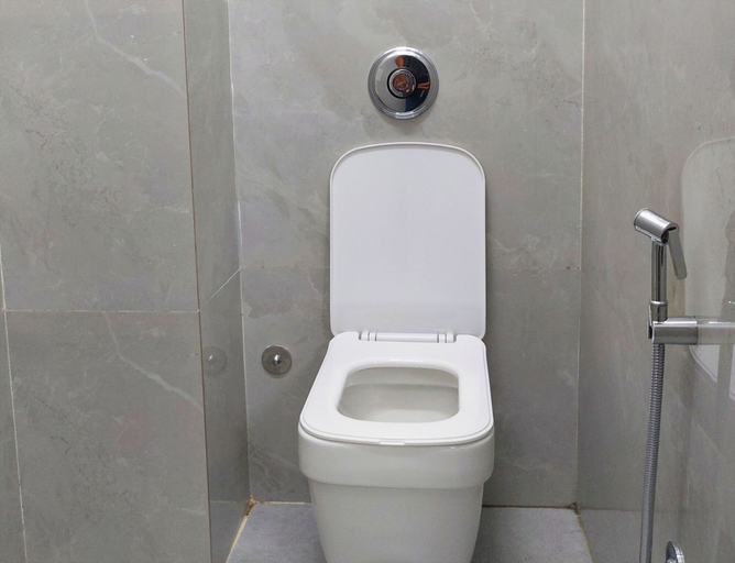 Bathroom, Hotel Minerwa, Udaipur