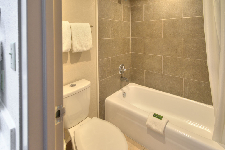 Bathroom 5, Clarion Pointe Downtown Gatlinburg, Sevier
