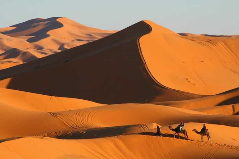 Others 4, Overnight Camel Trekking, Errachidia