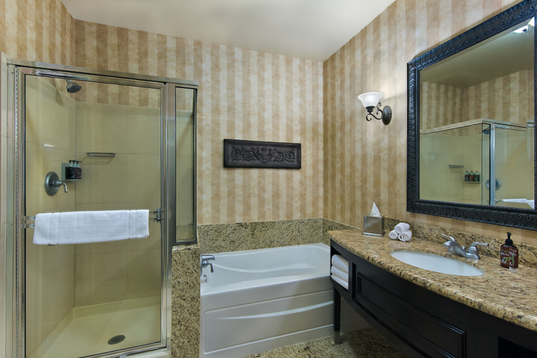 Bathroom 4, Oxford Suites Boise, Ada