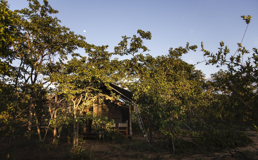 Exterior & Views, Simbavati Trails Camp, Ehlanzeni