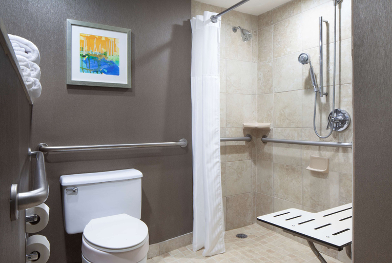 Bathroom 5, Hilton St. Petersburg Bayfront, Pinellas