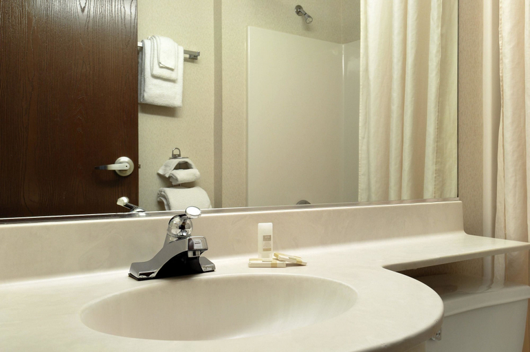 Bathroom 4, Microtel Inn and Suites by Wyndham MSP Airport Bloomington, Hennepin