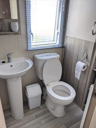 Bathroom 3, Immaculate Sen Friendly 3-bed Caravan in Porthcawl, Bridgend