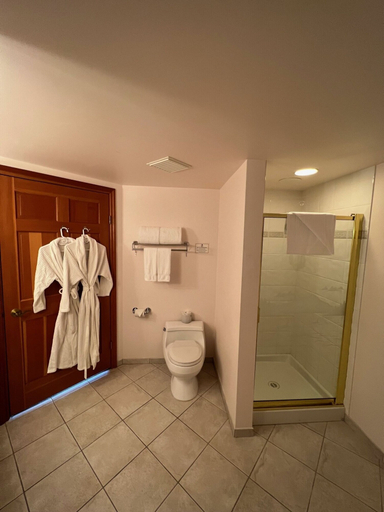 Bathroom 3, The Grand Hotel Nanaimo, Nanaimo