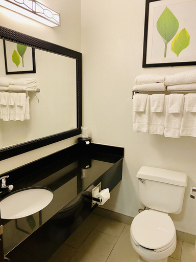 Bathroom 4, Wingate by Wyndham Gurnee, Lake