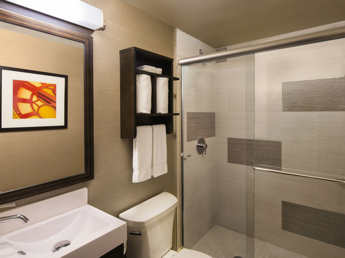 Bathroom 3, Holiday Inn Manhattan-Financial District, New York
