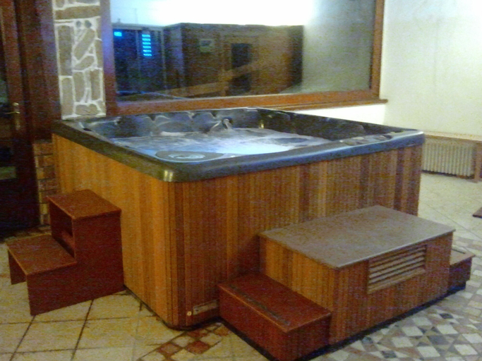 Bathroom 4, Hotel Des Alpes, Aosta