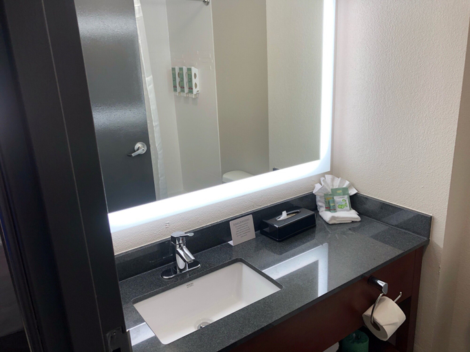 Bathroom 3, Best Western Lexington Inn, Fayette