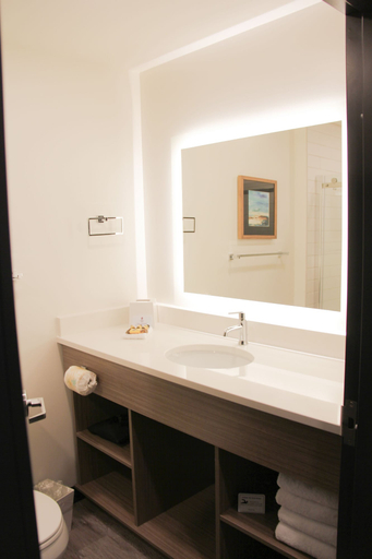 Bathroom 4, Best Western Plus Winkler, Division No. 3