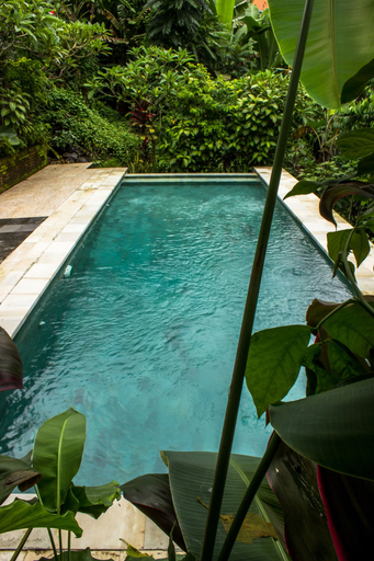 Sport & Beauty 2, Bisma Jaya Bungalow, Gianyar