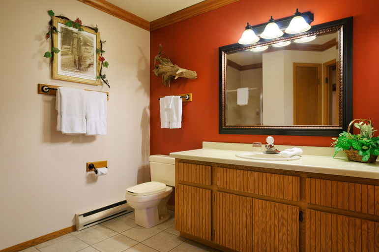 Bathroom 3, The Pointe Hotel and Suites, Oneida