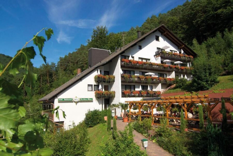 Exterior & Views 2, Hotel Die Kleine Blume, Südwestpfalz
