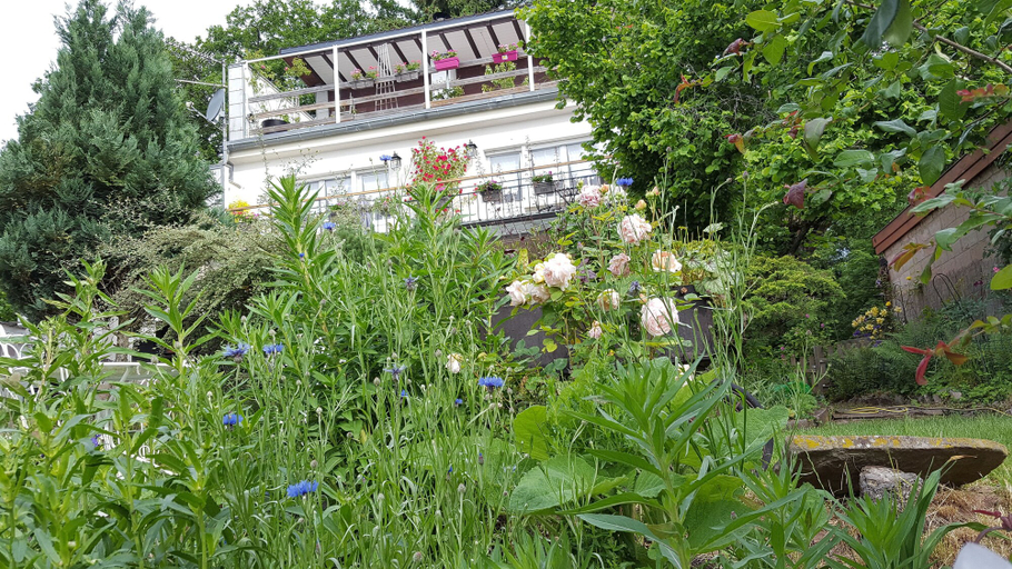 Exterior & Views 2, Les iris Chambres D Hôtes, Haut-Rhin