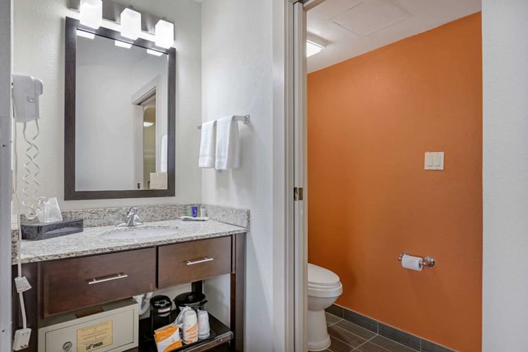 Bathroom 4, Sleep Inn DeWitt - Lansing North, Clinton