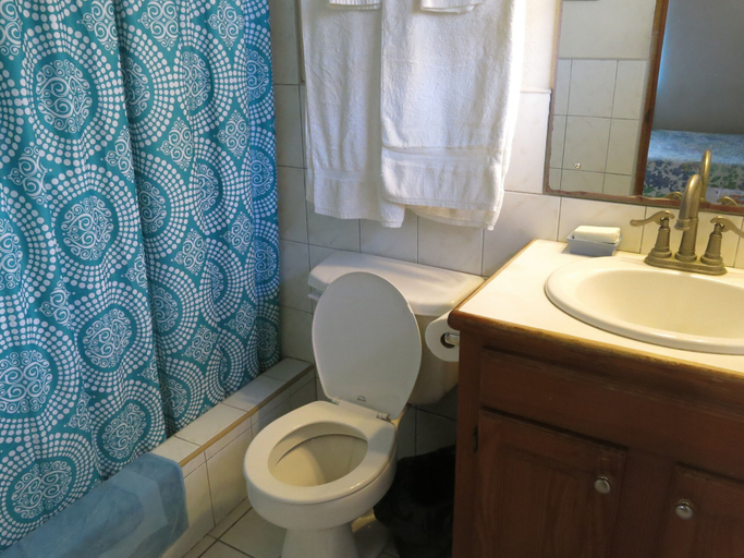 Bathroom 5, Gemini House Bed & Breakfast