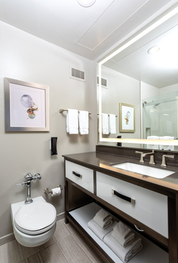 Bathroom 4, The Donatello, San Francisco
