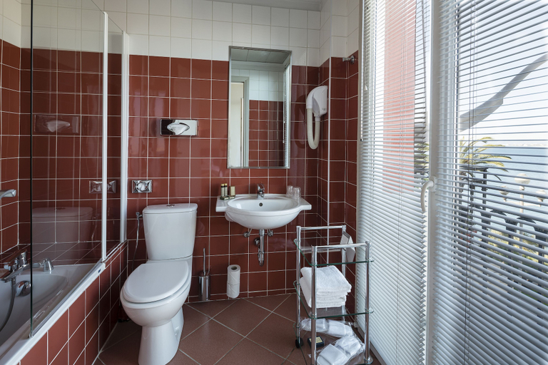 Bathroom 5, Hôtel Suisse, Alpes-Maritimes