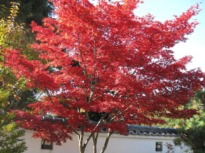 Exterior & Views 2, Hotel Towadaso, Towada
