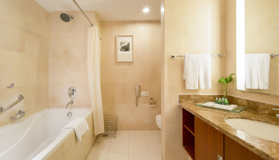 Bathroom 3, Landison Plaza International Hotel Zhenjiang, Zhenjiang