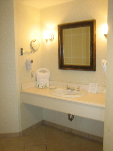 Bathroom 5, Monumental Hotel Orlando, Orange