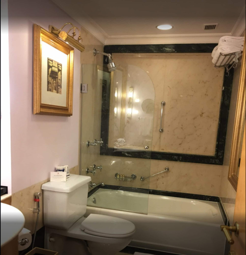 Bathroom 5, Trident, Bhubaneswar, Khordha