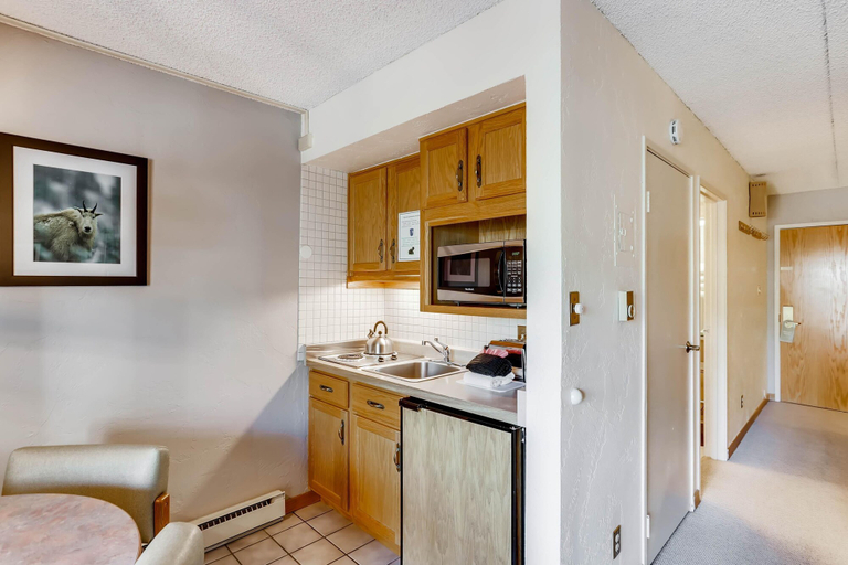 Others 2, Lift House Lodge, Vail Lionshead Studio Condo, Walk to Gondola, Eagle