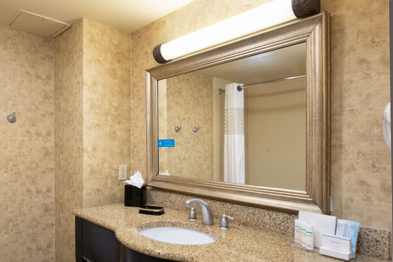 Bathroom 4, Hampton Inn & Suites Baton Rouge - I-10 East, East Baton Rouge