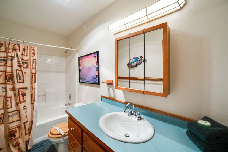 Bathroom, 51SL - Ping Pong - Fireplace - D/W - W/D - Sleeps 8, Whatcom