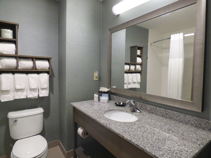 Bathroom 4, Hampton Inn & Suites Pensacola/I-10 Pine Forest Road, Escambia
