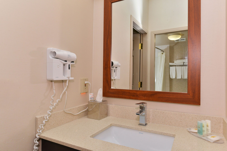 Bathroom 4, Comfort Inn & Suites Airport South, Division No. 6