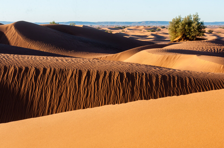 Desert Bivouac, Ouarzazate