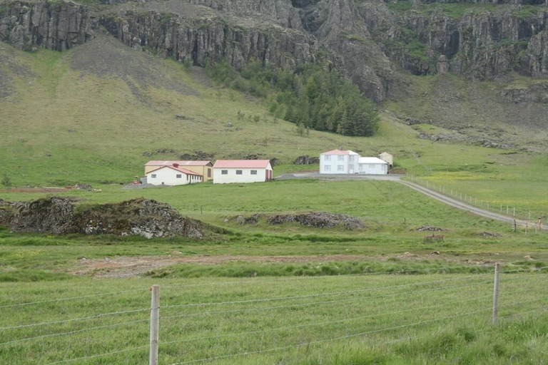 Others 3, Guesthouse Stekkatún, Sveitarfélagið Hornafjörður