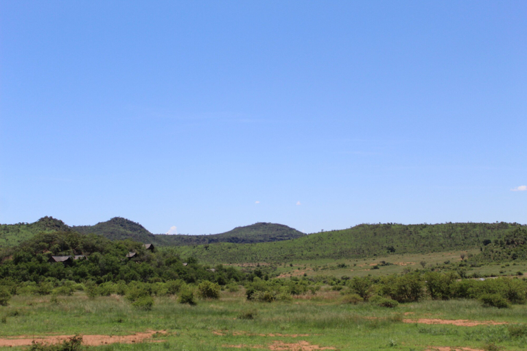 Others 5, Tshukudu Bush Lodge, Bojanala