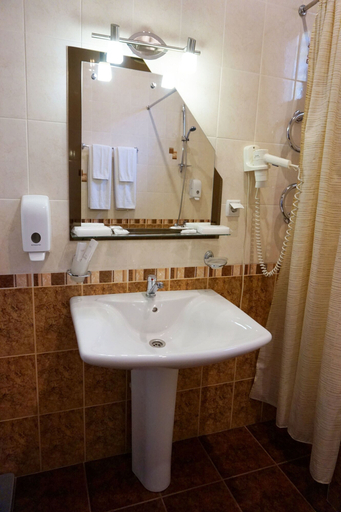 Bathroom 3, AMAKS Shakhter Sanatorium, Predgornyy rayon