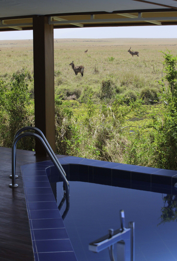 Sport & Beauty, Ngerende in the Wild Lakeview, Narok West