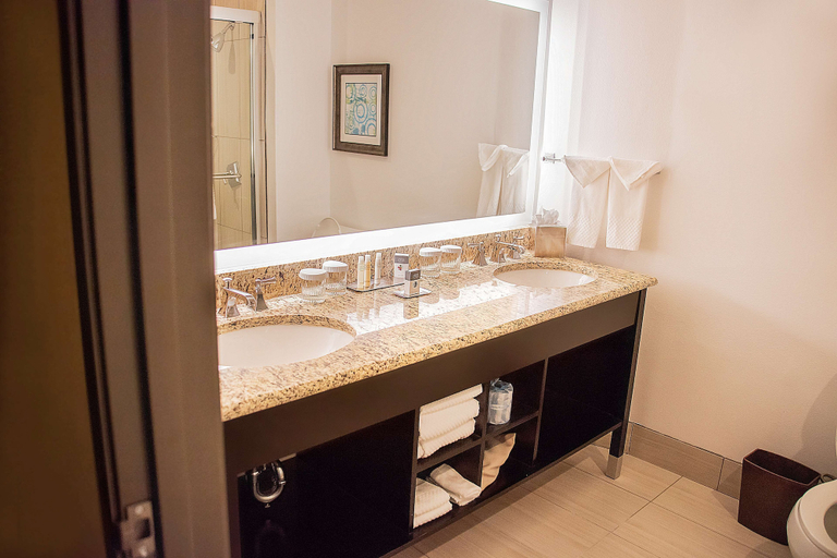 Bathroom 5, DoubleTree Suites by Hilton Hotel McAllen, Hidalgo