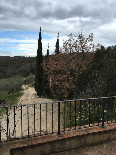 Others 5, Agriturismo Campo al Crognolo, Grosseto