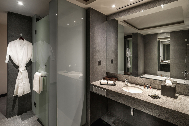 Bathroom 4, Hyatt Raipur, Raipur