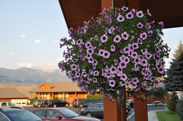 Others 5, Yellowstone Village Inn and Suites, Park