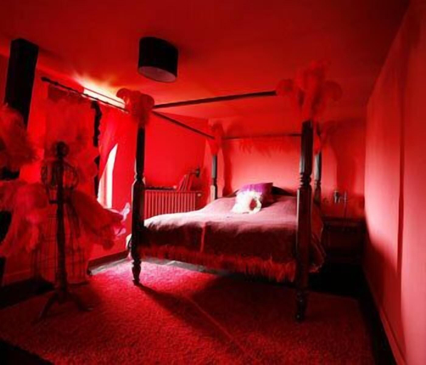 Bedroom 4, Maison d'Hôtes Stella Cadente, Seine-et-Marne