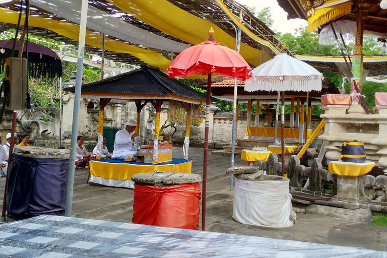 Food & Drinks 5, Van Santri Homestay Pemuteran, Buleleng
