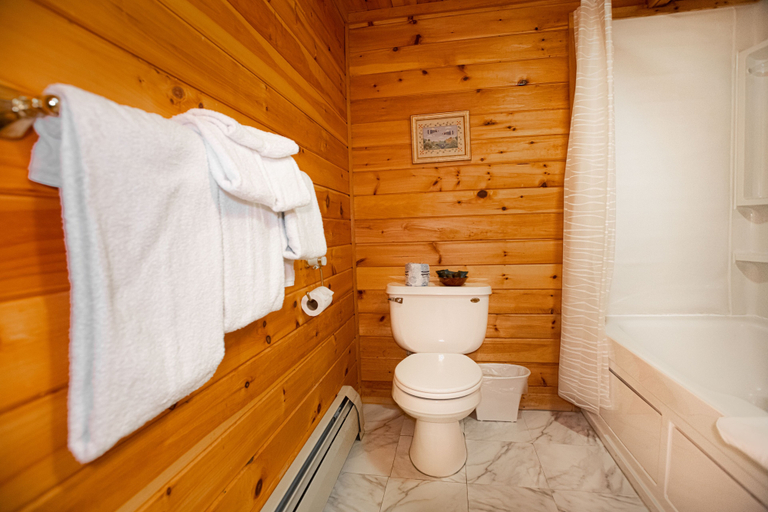 Bathroom 4, Cranmore Mountain Lodge Bed & Breakfast, Carroll