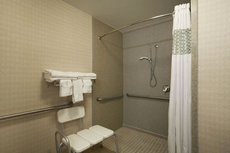 Bathroom 5, Hampton Inn Orlando International Drive/Convention Center, Orange