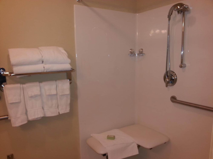 Bathroom 4, Cobblestone Inn & Suites - Bloomfield, Davis