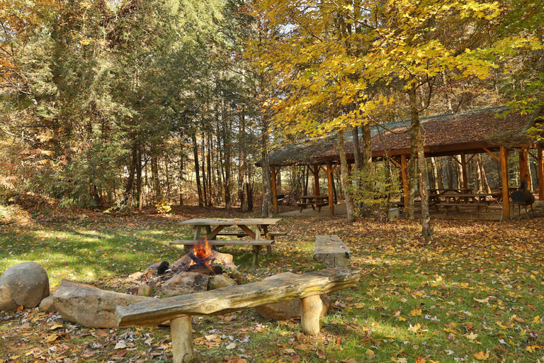 Others 5, Smoky Bear Manor - Five Bedroom Cabin, Sevier